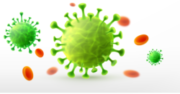 En savoir plus sur le coronavirus
